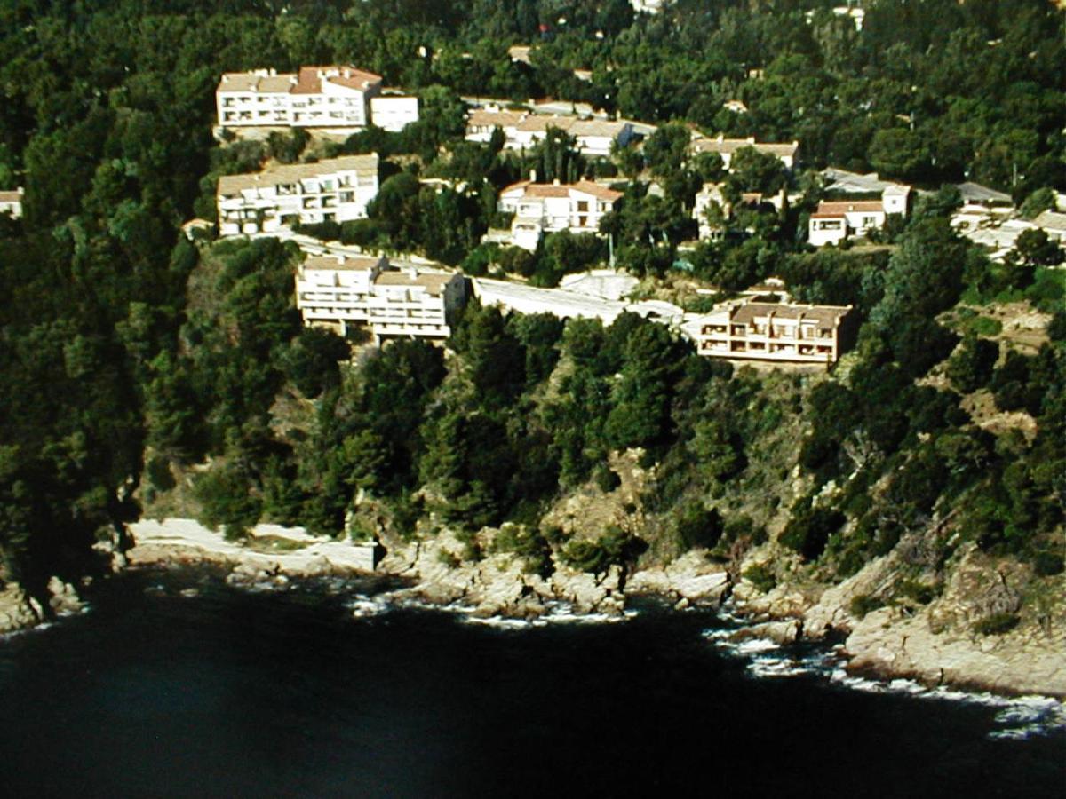 Joli 2 Pieces 4 Personnes Vue Mer Cavalaire-sur-Mer Zewnętrze zdjęcie